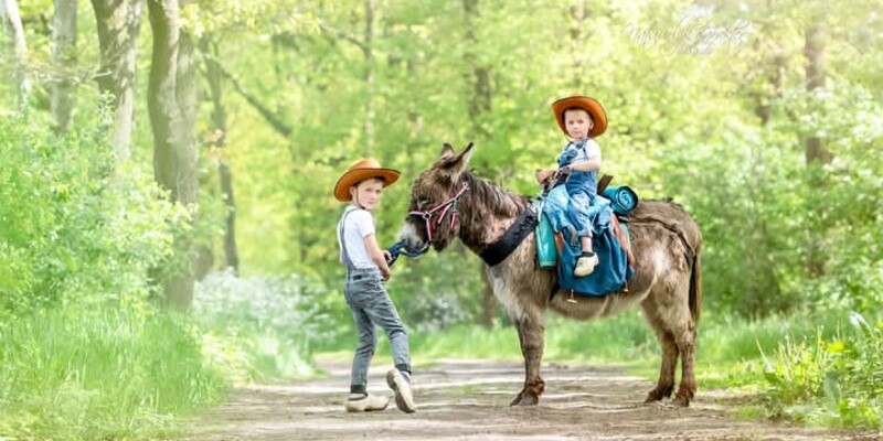 Reserveringsformulier Ezelwandeling