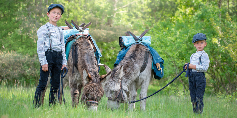 Reserveringsformulier Pagan tent