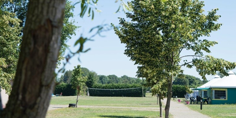 Boerderijcamping