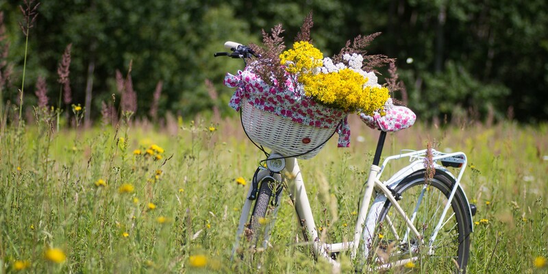 Fietstocht- Boerentapas