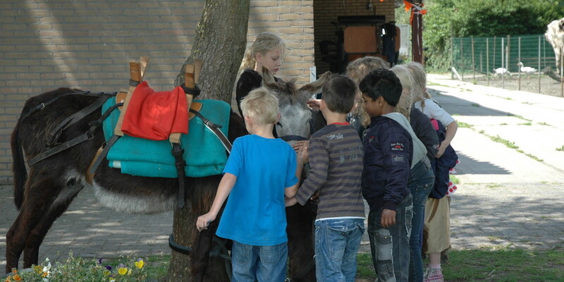 Kinderfeestjes