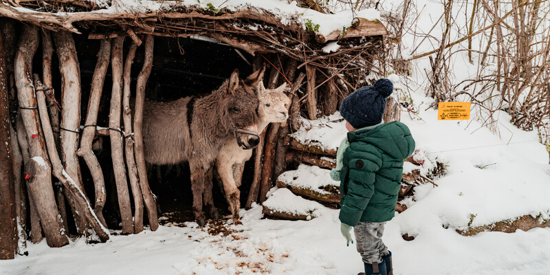 Reserveringsformulier Ezelwandeling