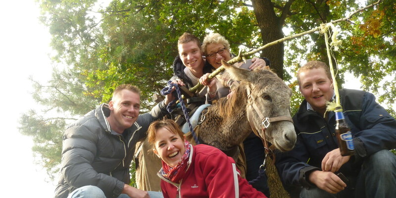 Donkey picture fun tour