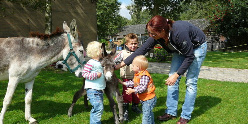 Boerderijcamping