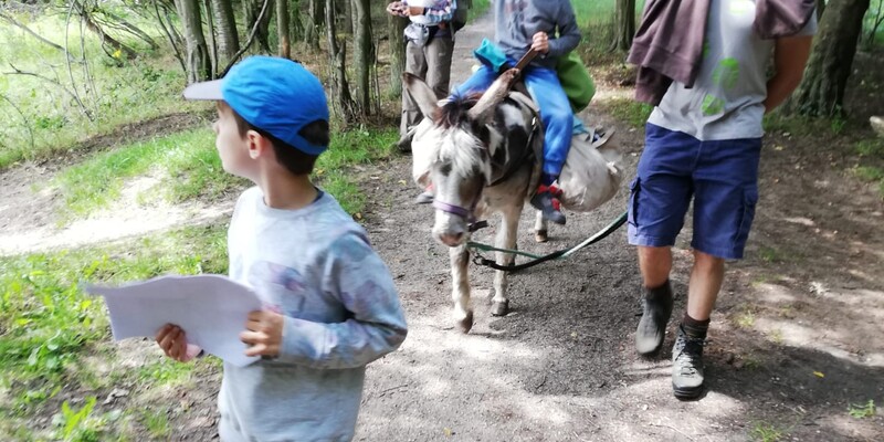 Meerdaagse ezeltocht